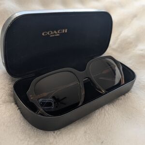 Coach HC8335 Oversized Sunglasses Transparent Brown Gradient w/ Case